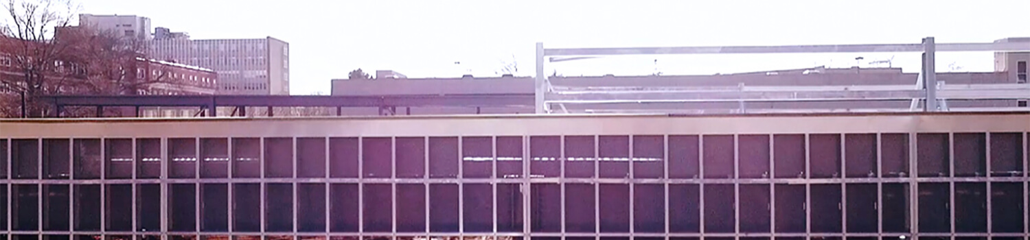 FAQ-Header-1